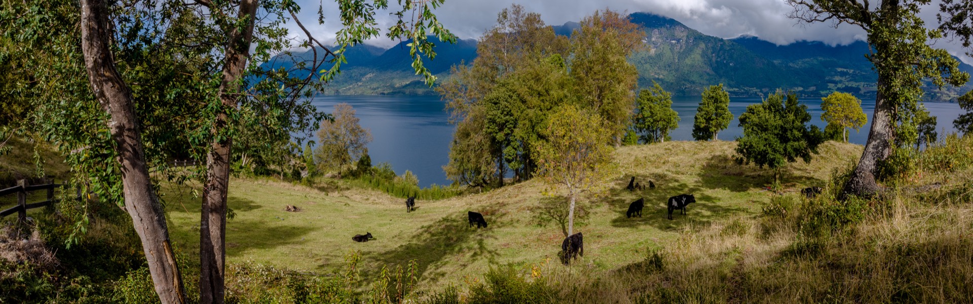Panoramica lago y cordillera
