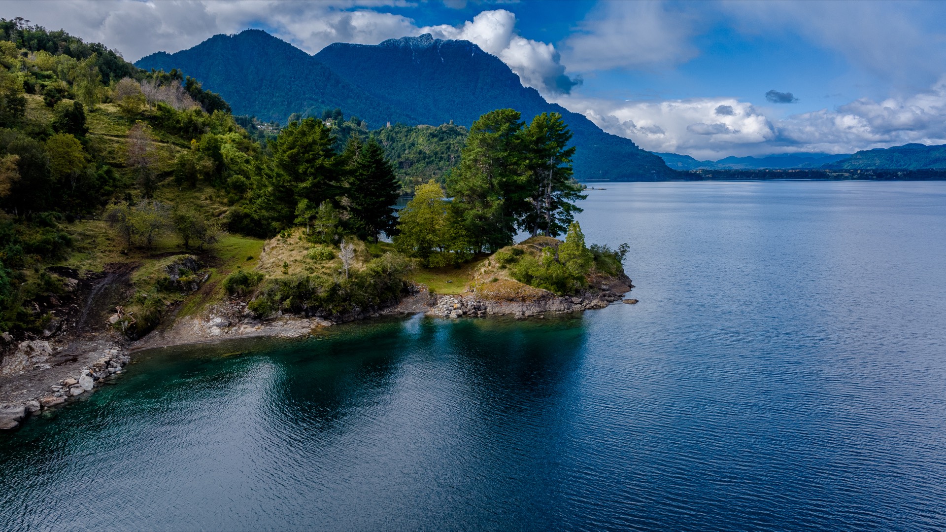 Bosque nativo desde el aire