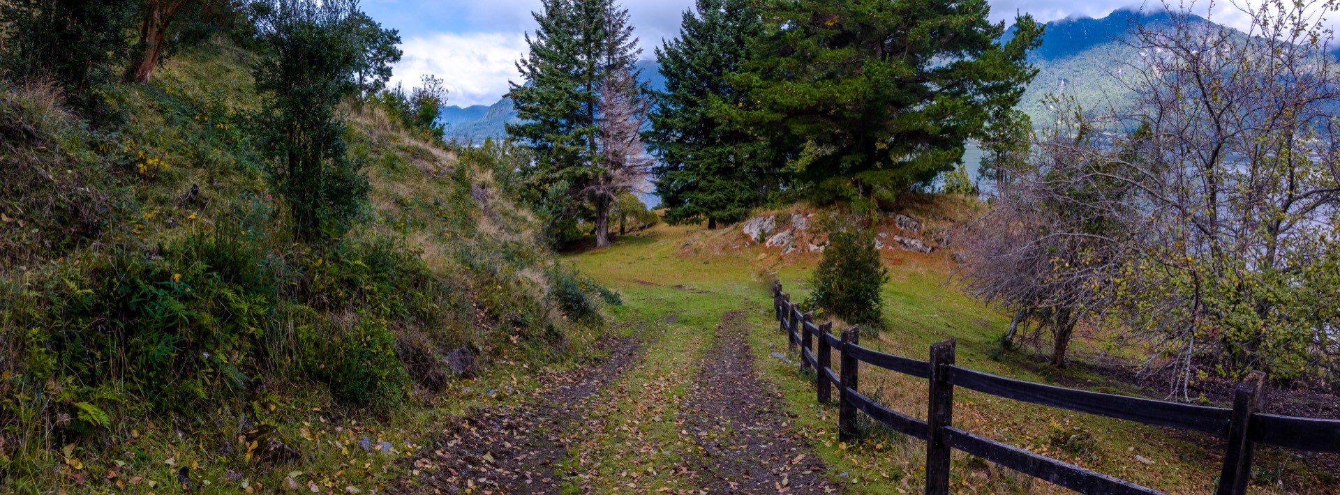 Camino interior con cercos