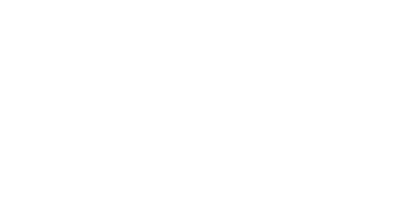 Punta Huapi